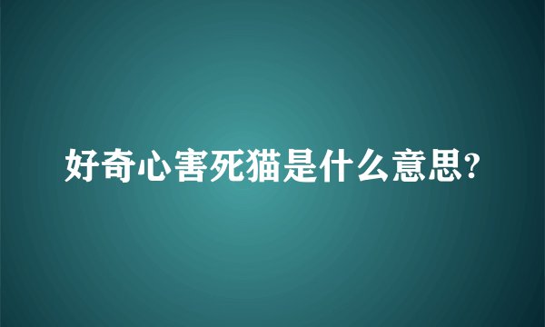 好奇心害死猫是什么意思?