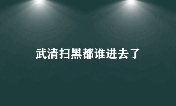 武清扫黑都谁进去了