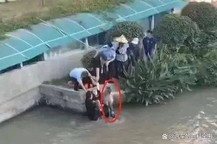 沐阳一女子点赞“救人英雄”，仔细一看竟是自己丈夫，其夫究竟做了什么？