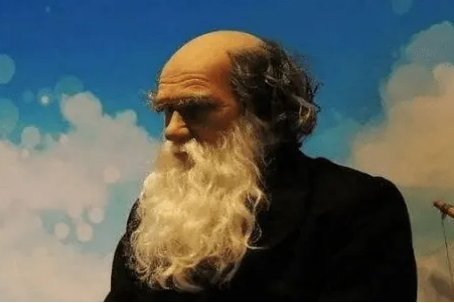 实地研究的优缺点