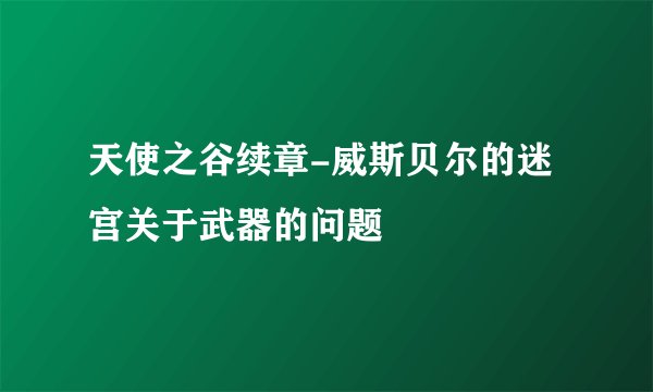 天使之谷续章-威斯贝尔的迷宫关于武器的问题