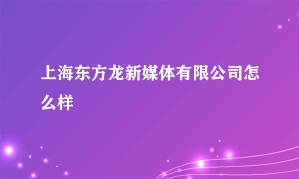 上海东方龙新媒体有限公司怎么样