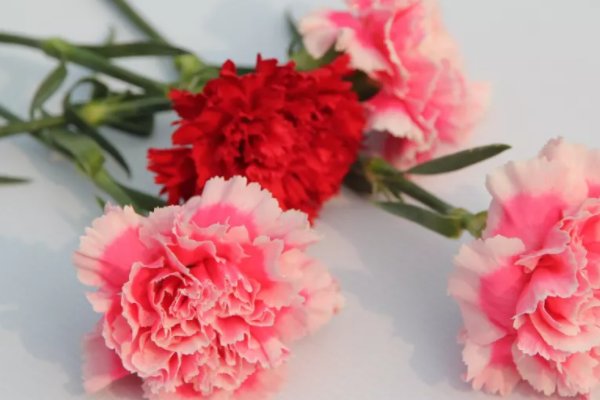 教师节送老师什么礼物？