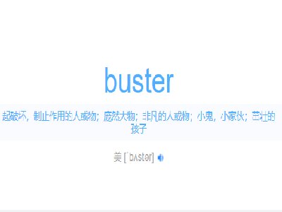 buster是什么意思