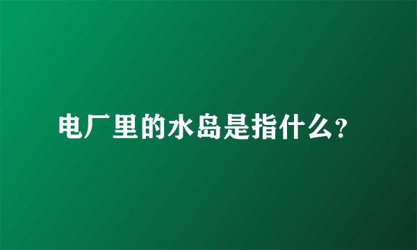 电厂里的水岛是指什么？