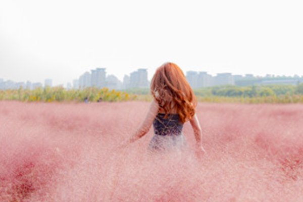 厚爱是什么意思