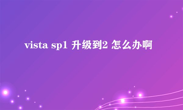 vista sp1 升级到2 怎么办啊
