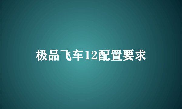 极品飞车12配置要求