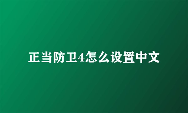 正当防卫4怎么设置中文