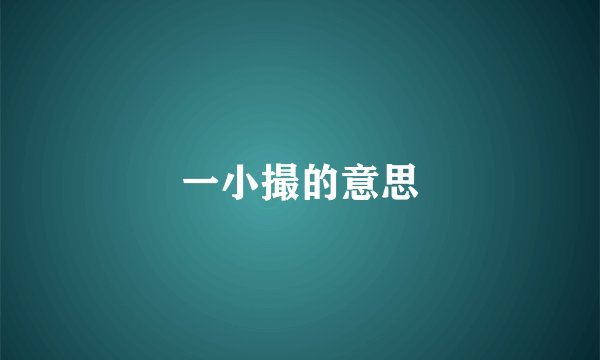 一小撮的意思