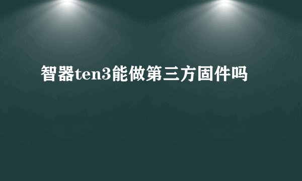 智器ten3能做第三方固件吗