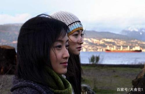 别了温哥华简介