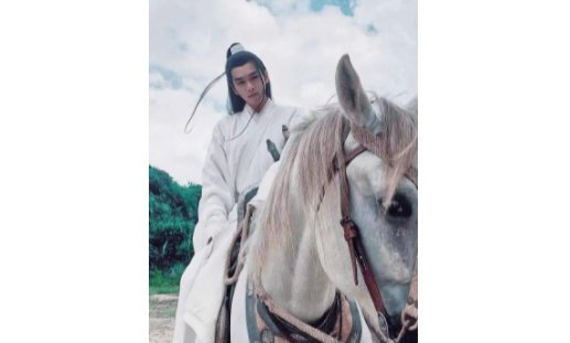 雪中悍刀行徐凤年会不会武功