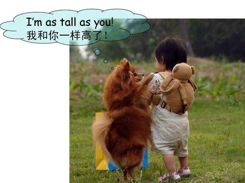 as. as.怎么翻译？