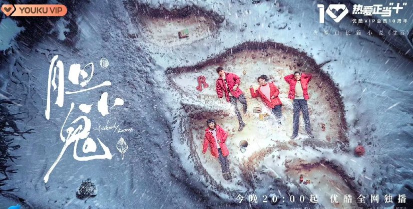 胆小鬼每天更新几集