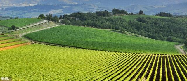 南宋诗人翁卷的读音？