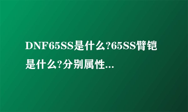 DNF65SS是什么?65SS臂铠是什么?分别属性是什么?