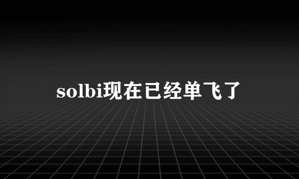 solbi现在已经单飞了