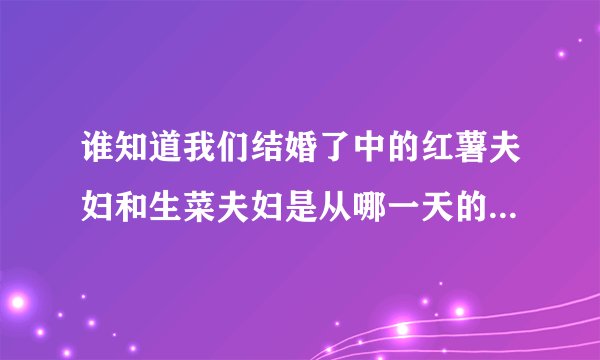 谁知道我们结婚了中的红薯夫妇和生菜夫妇是从哪一天的哪一期开始的.