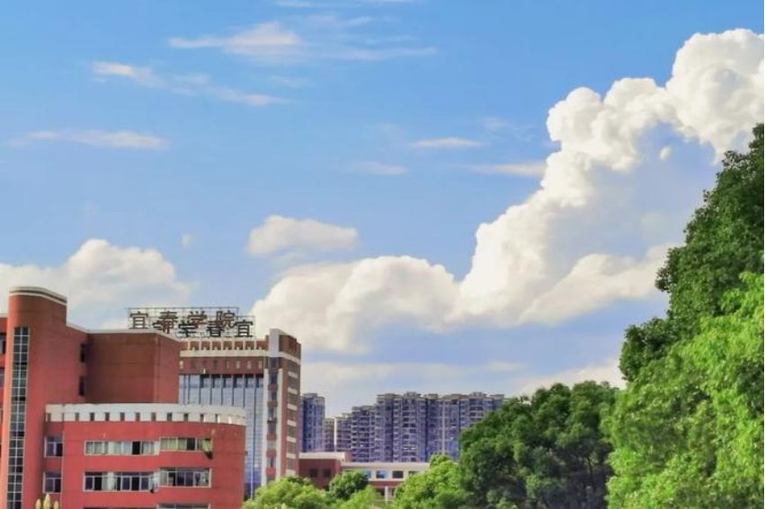 宜春学院教务处网址是多少？