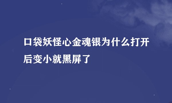 口袋妖怪心金魂银为什么打开后变小就黑屏了