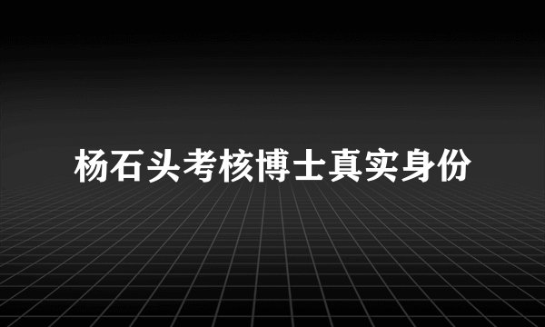 杨石头考核博士真实身份