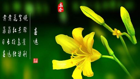 迎春为什么不能回娘家