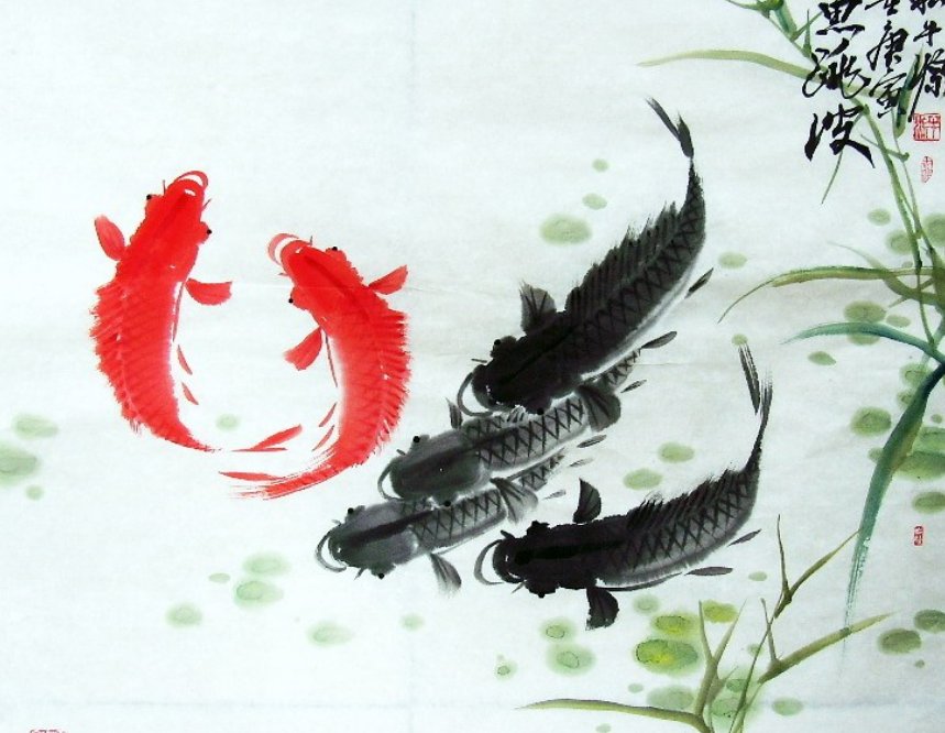 好深啊撞的好吗鲤鱼乡