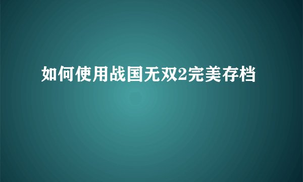 如何使用战国无双2完美存档