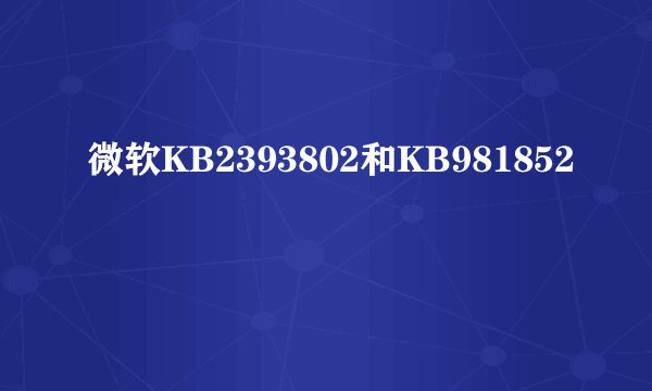 微软KB2393802和KB981852