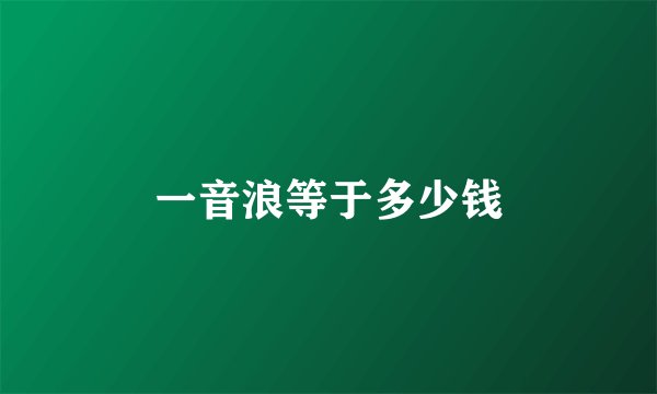 一音浪等于多少钱