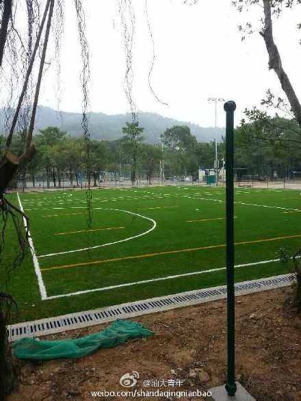 汕头大学郁金香BBS站的郁金香BBS 站新启航