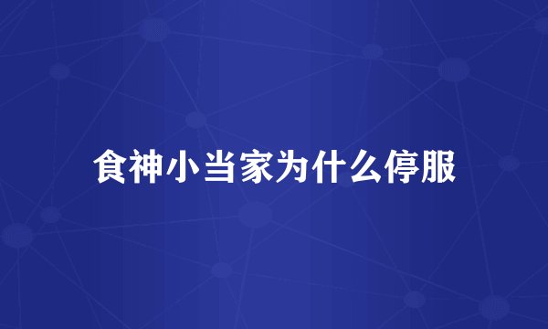 食神小当家为什么停服