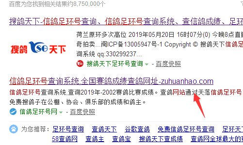 如何在网上查询信鸽的足环号？