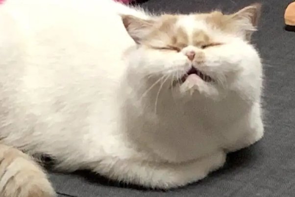 拿不出手是什么意思