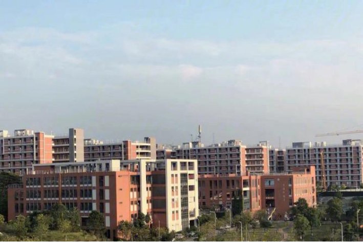 大专哪个学校比较好排名