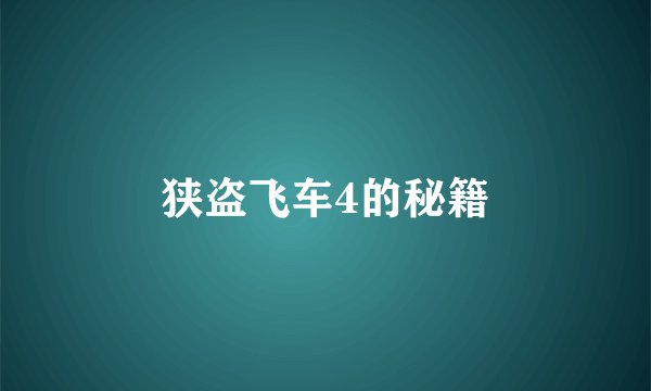 狭盗飞车4的秘籍
