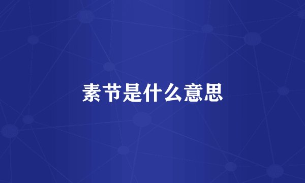 素节是什么意思