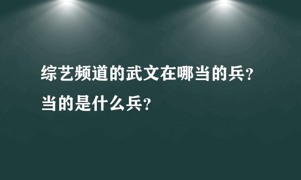 综艺频道的武文在哪当的兵？当的是什么兵？