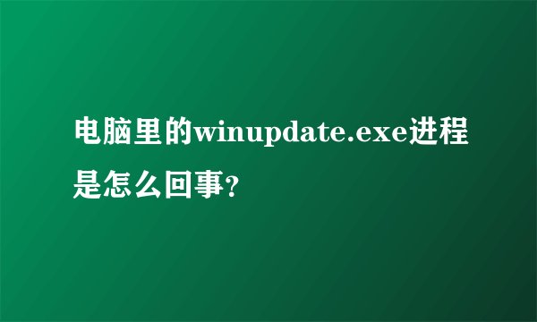 电脑里的winupdate.exe进程是怎么回事？