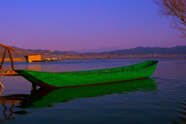 张钧甯怎么读mi