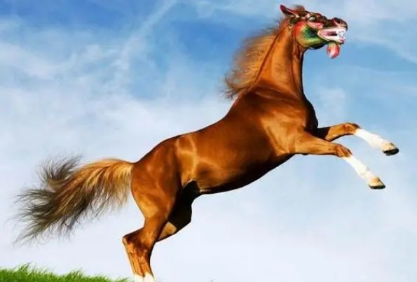 灵活跳跃尘土扬打一正确生肖