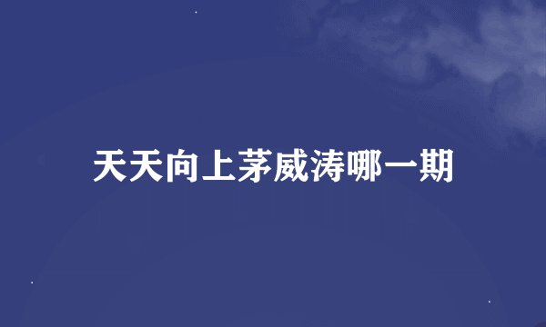 天天向上茅威涛哪一期