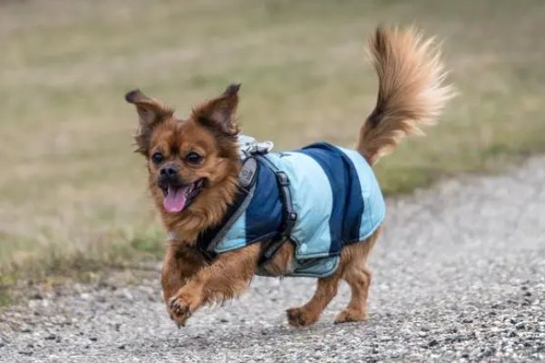 跪了，知道错了吗