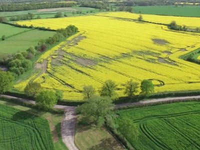 2022年农业补贴或将调整，具体会做出哪些调整？