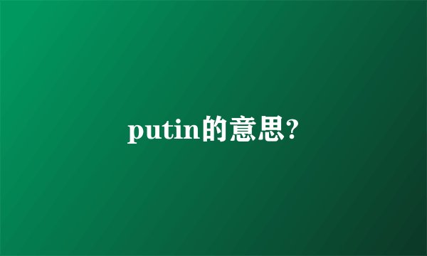 putin的意思?