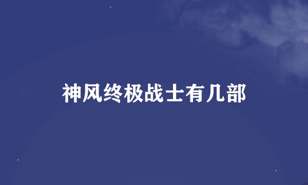 神风终极战士有几部