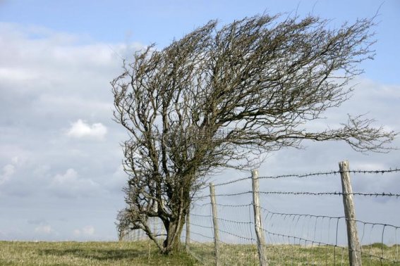 关于大自然的指南针有哪些