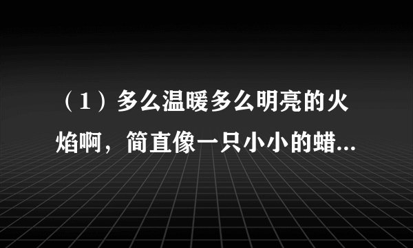 （1）多么温暖多么明亮的火焰啊，简直像一只小小的蜡烛。（用多么…多么，简直像 造句）