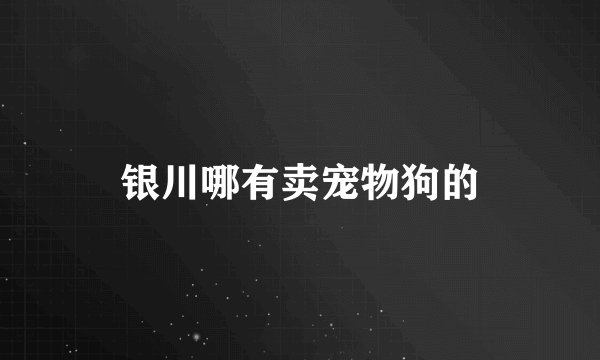 银川哪有卖宠物狗的